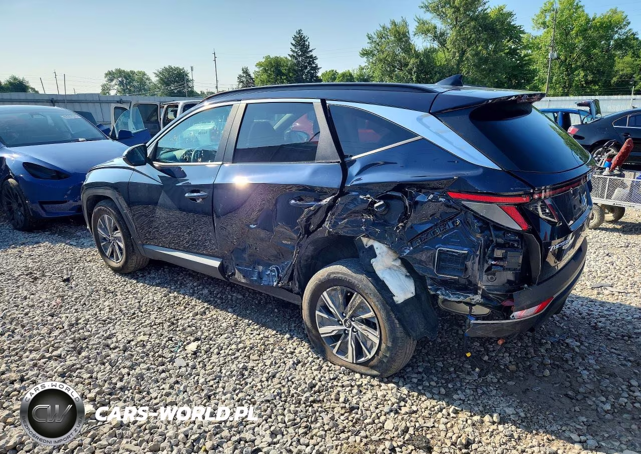 2023 Hyundai Tucson Blue VIN:KM8JBCA13PU093134 - 2