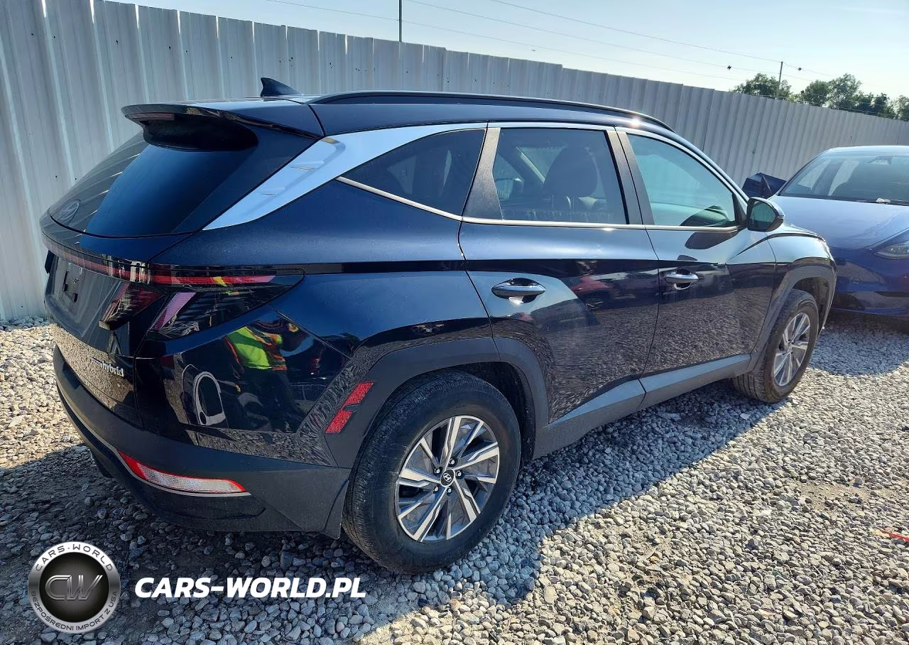 2023 Hyundai Tucson Blue VIN:KM8JBCA13PU093134 - 3