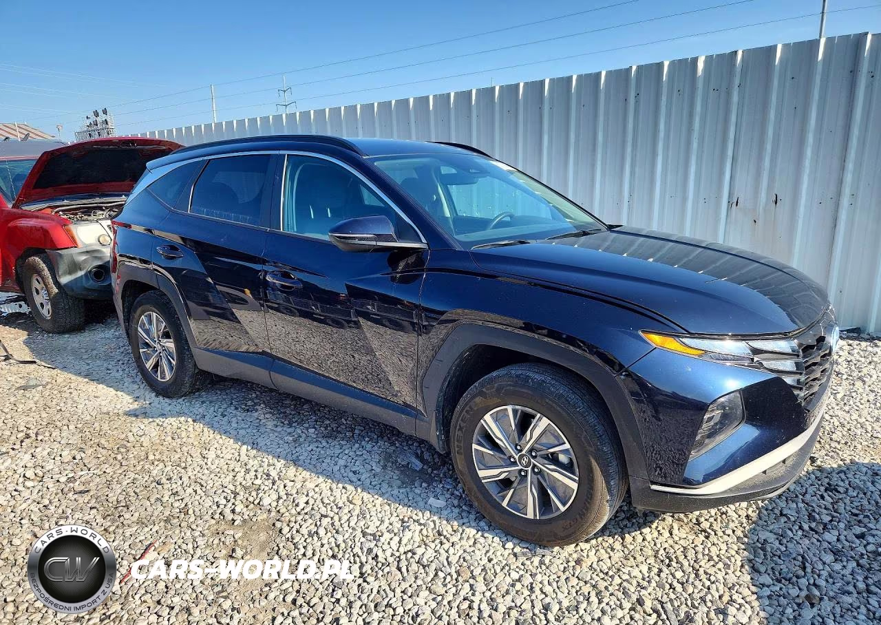 2023 Hyundai Tucson Blue VIN:KM8JBCA13PU093134 - 4