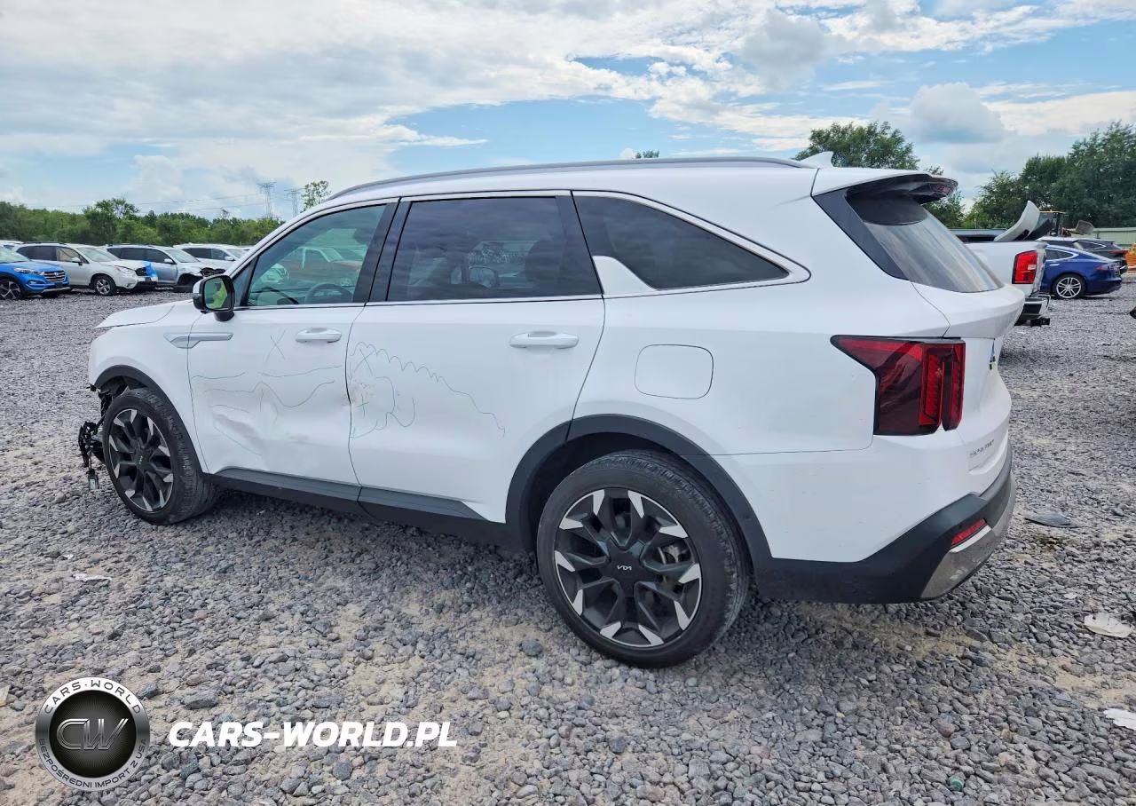 2024 Kia Sorento Sx VIN:5XYRK4JF2RG253629 - 2