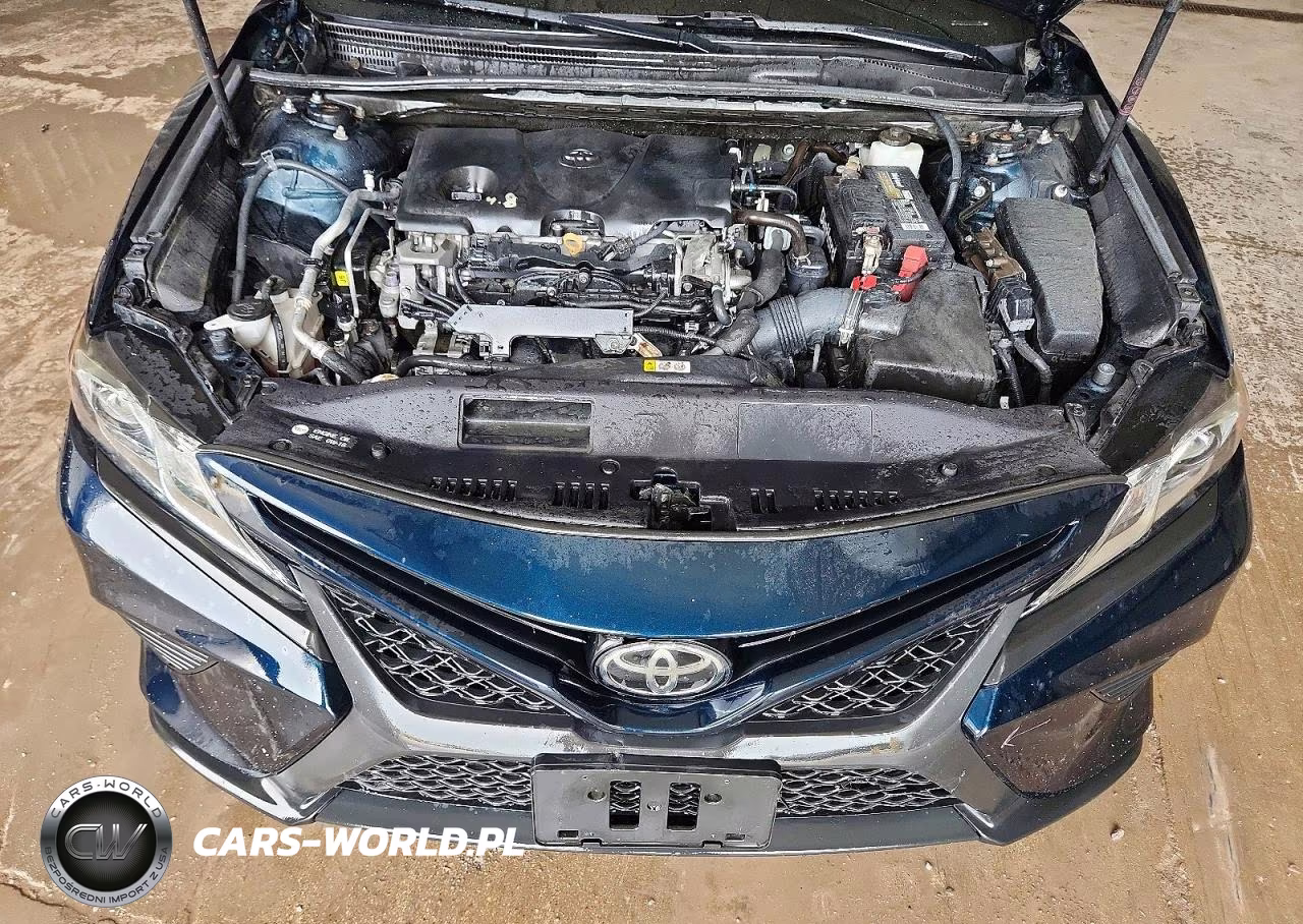 2019 Toyota Camry Se VIN:4T1B11HK1KU737068 - 11