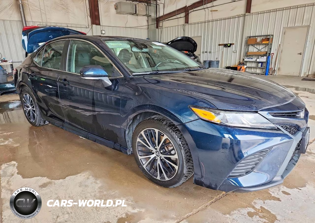 2019 Toyota Camry Se VIN:4T1B11HK1KU737068 - 4