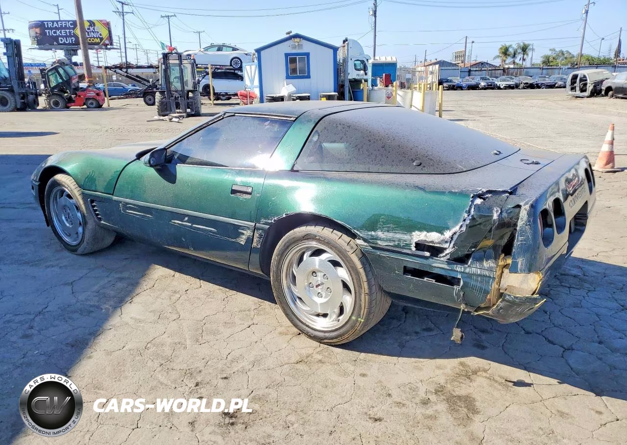 1995 Chevrolet Corvette VIN:1G1YY22P3S5118379 - 2