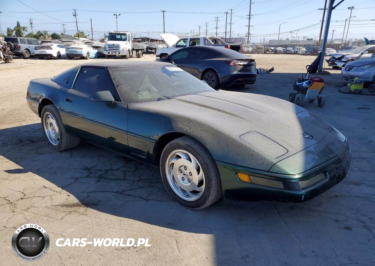 1995 Chevrolet Corvette VIN:1G1YY22P3S5118379 - 4