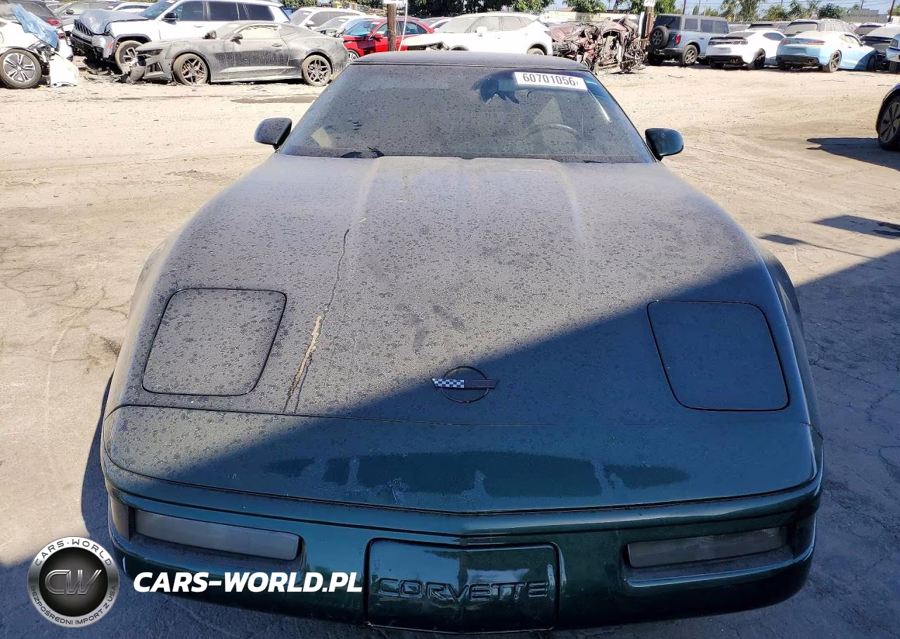 1995 Chevrolet Corvette VIN:1G1YY22P3S5118379 - 5