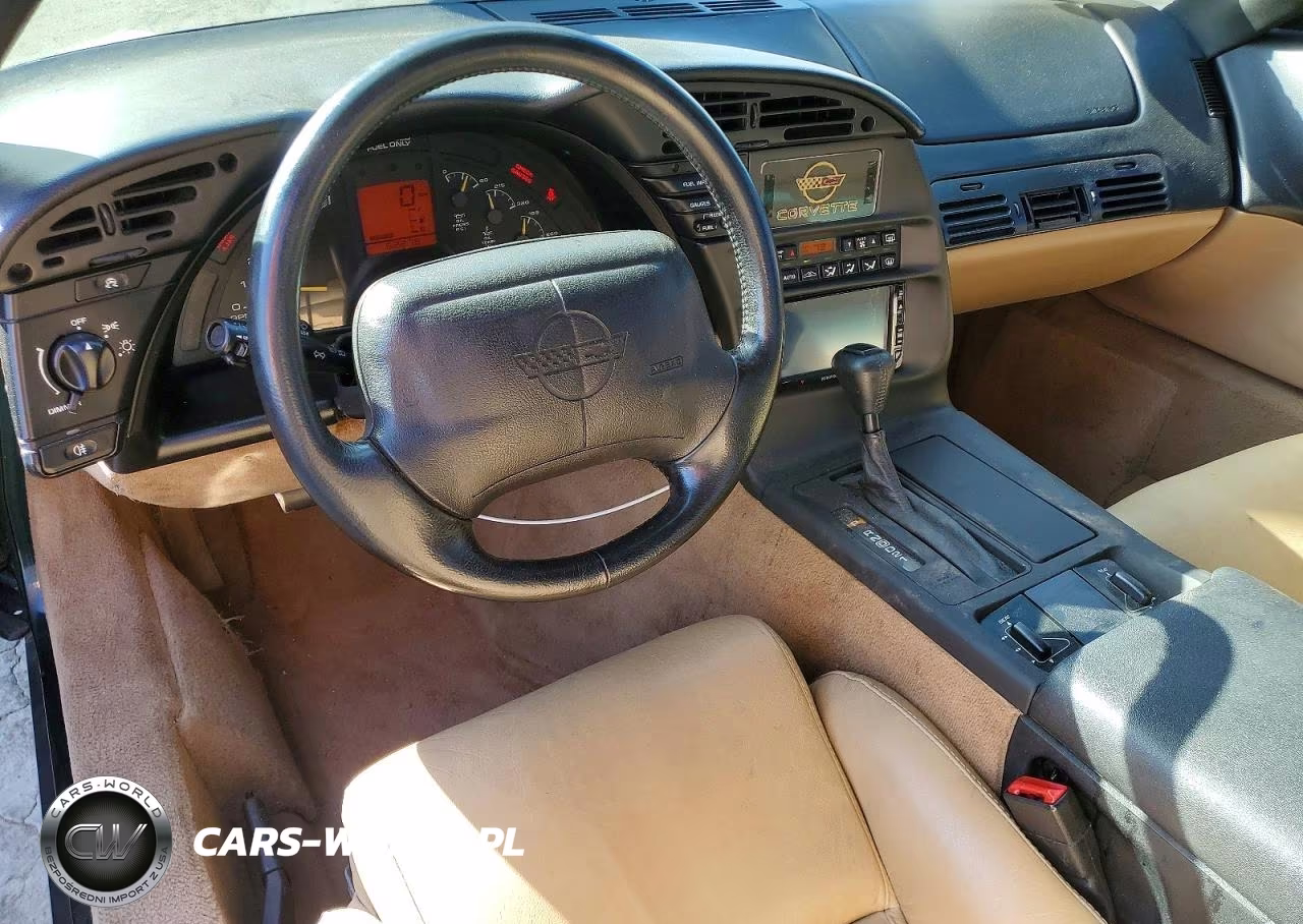 1995 Chevrolet Corvette VIN:1G1YY22P3S5118379 - 8