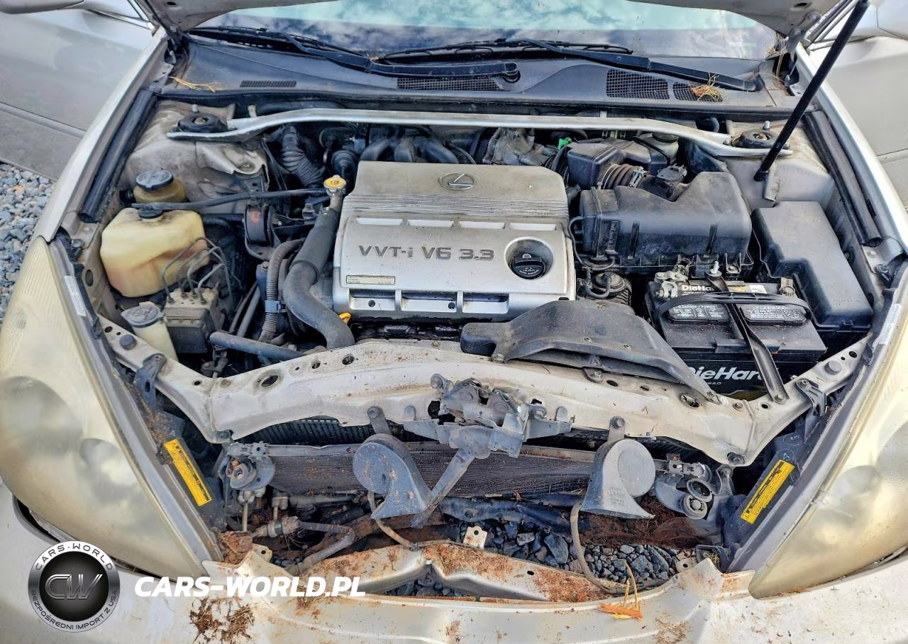 2004 Lexus Es 330 VIN:JTHBA30GX45043045 - 11