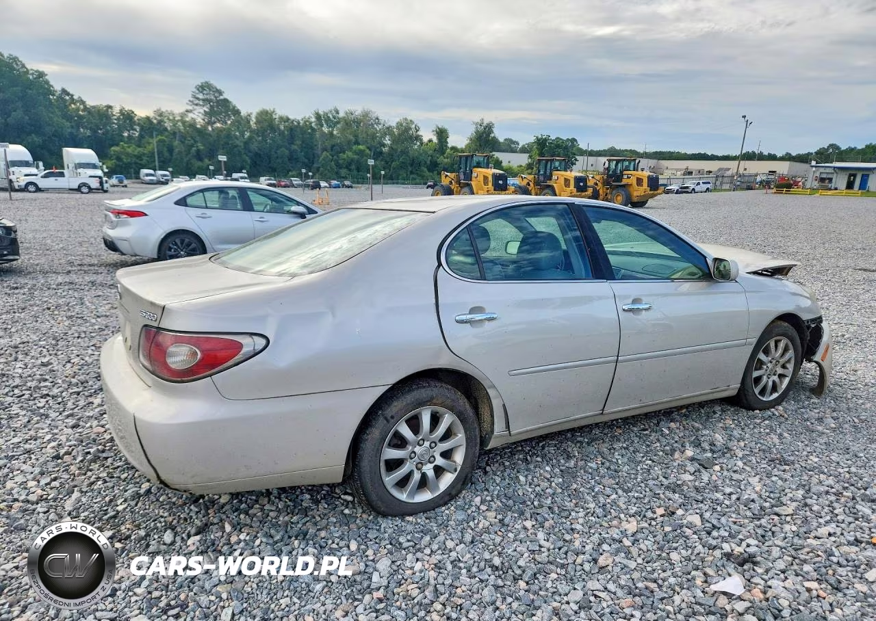 2004 Lexus Es 330 VIN:JTHBA30GX45043045 - 3