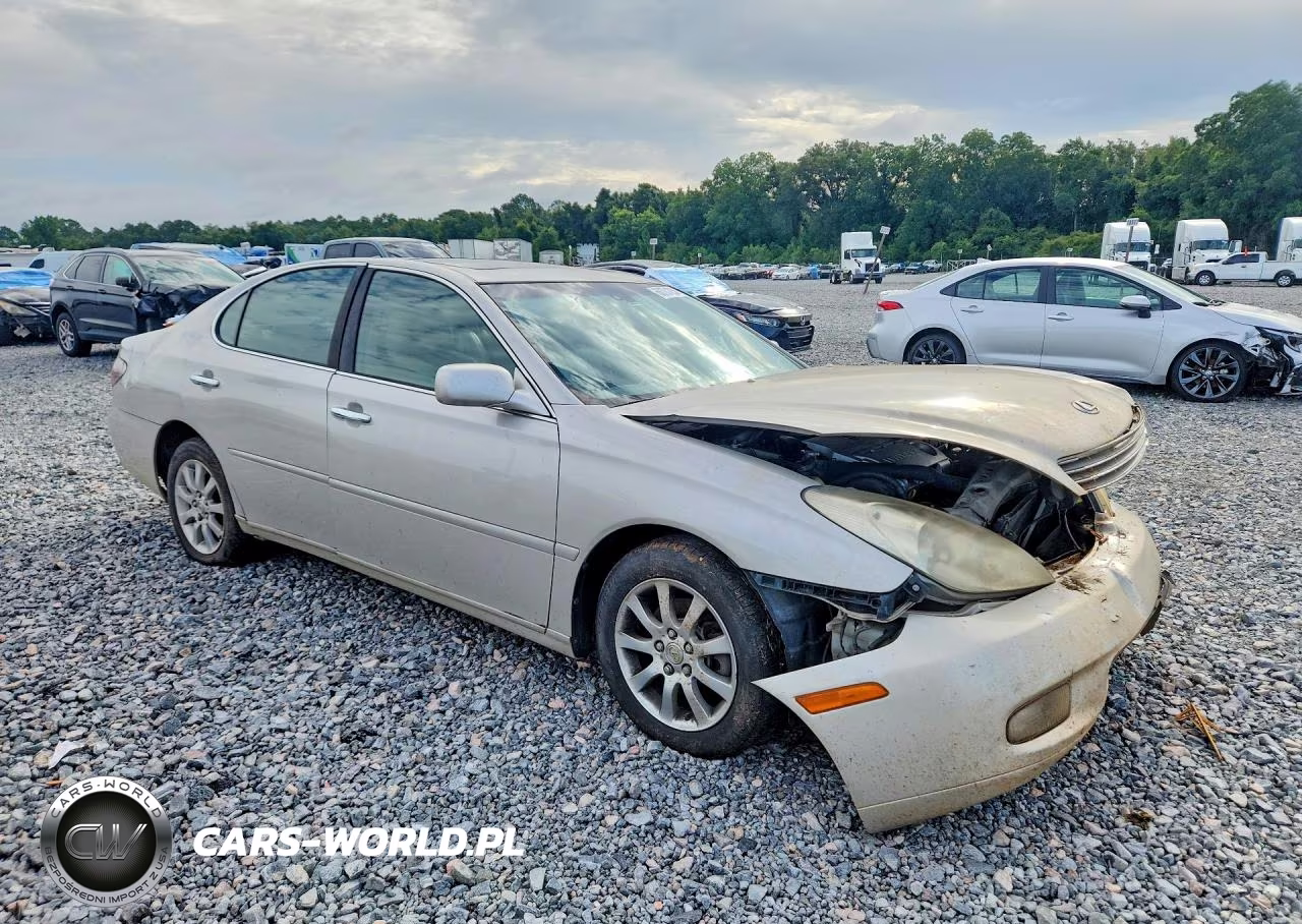 2004 Lexus Es 330 VIN:JTHBA30GX45043045 - 4