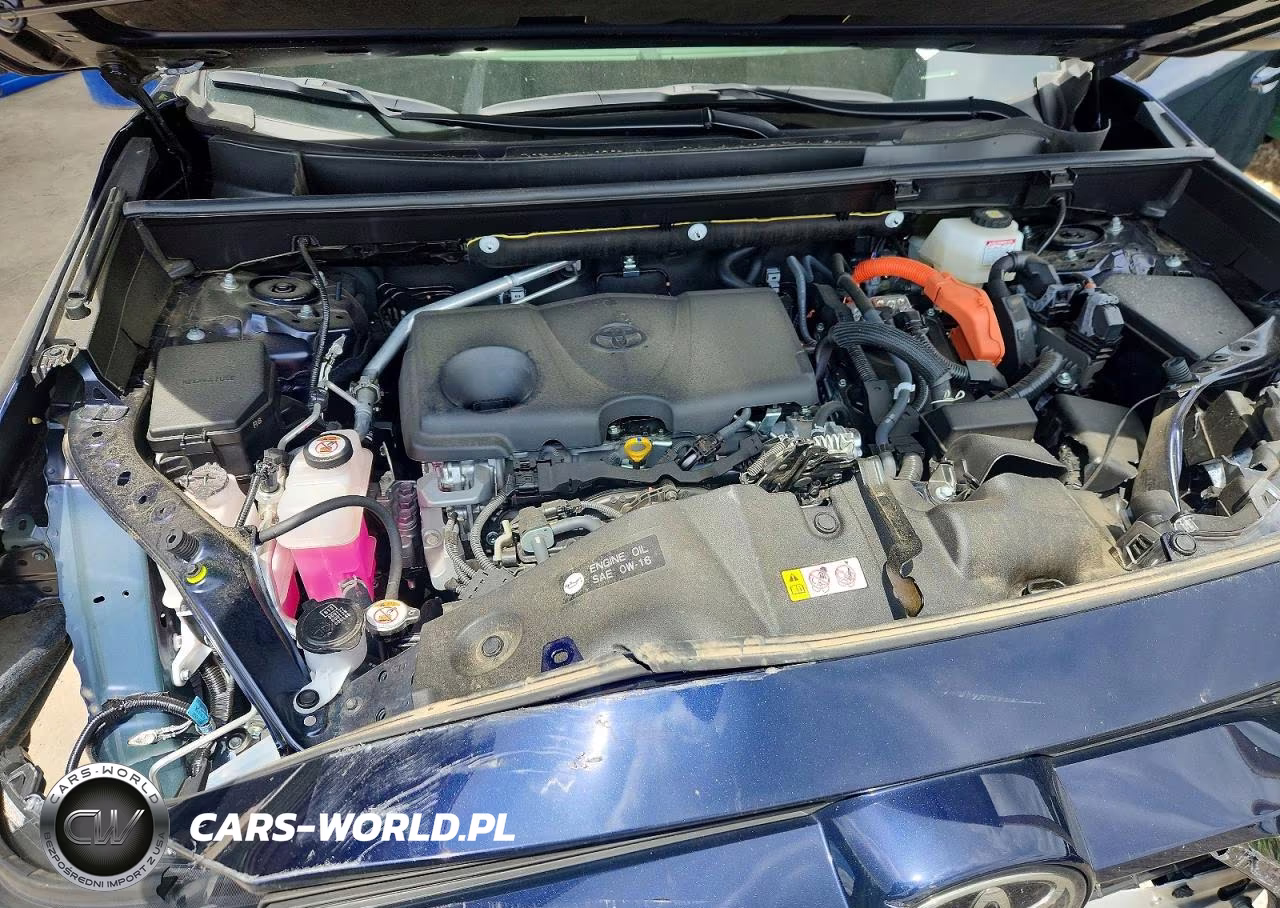 2025 Toyota Rav4 Hybrid Xle VIN:JTMRWRFV0SJ064596 - 12