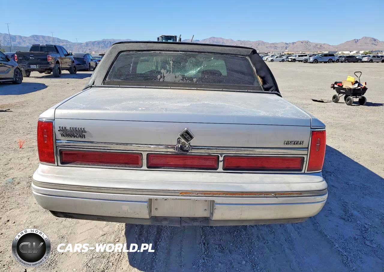 1995 Lincoln Town Car Executive VIN:1LNLM81W8SY624387 - 6