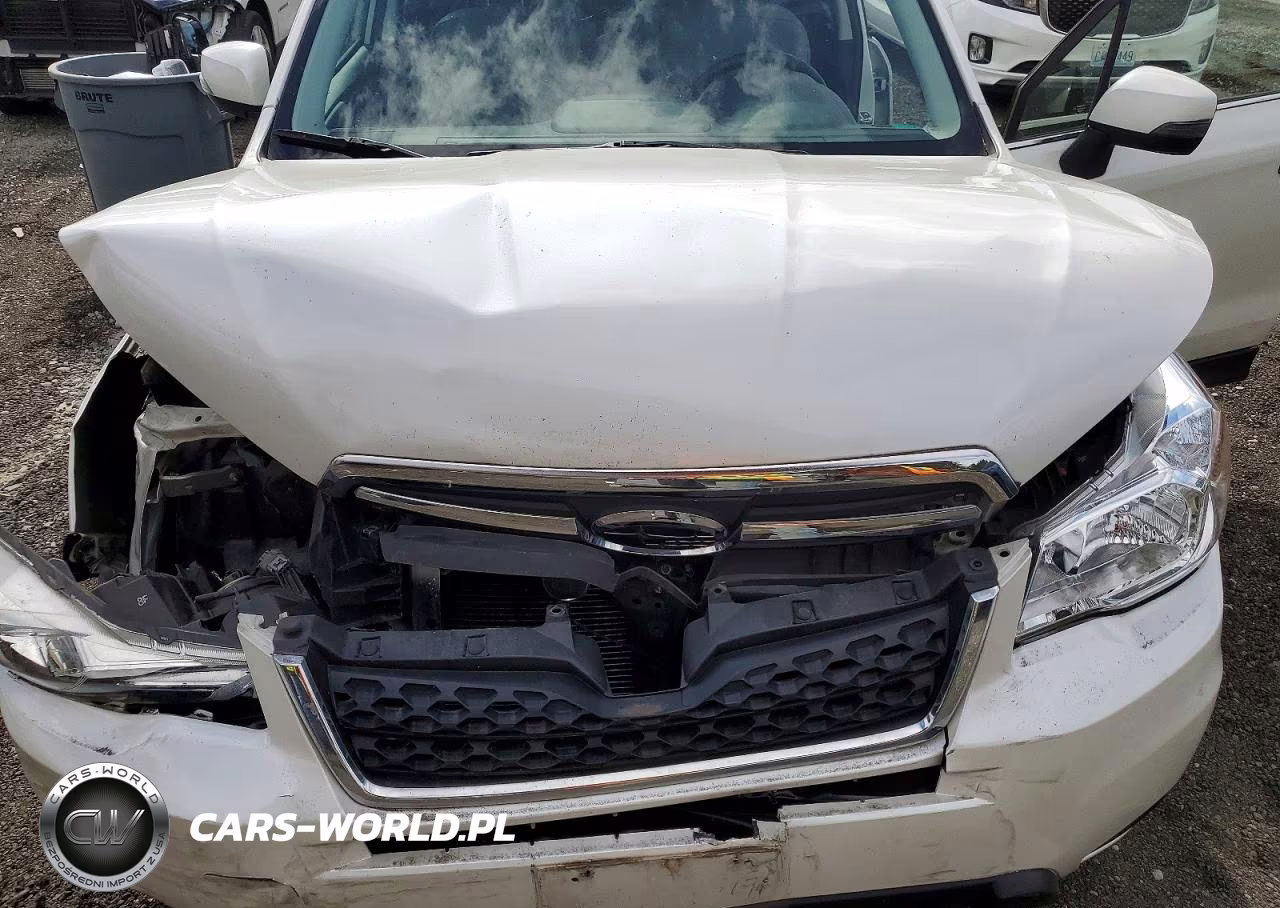 2014 Subaru Forester 2.5I Touring VIN:JF2SJAMCXEH527411 - 12