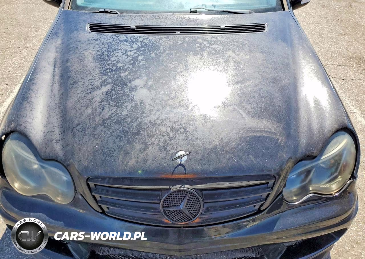 2003 Mercedes-Benz C 32 Amg Kompressor VIN:WDBRF65J13F411496 - 11