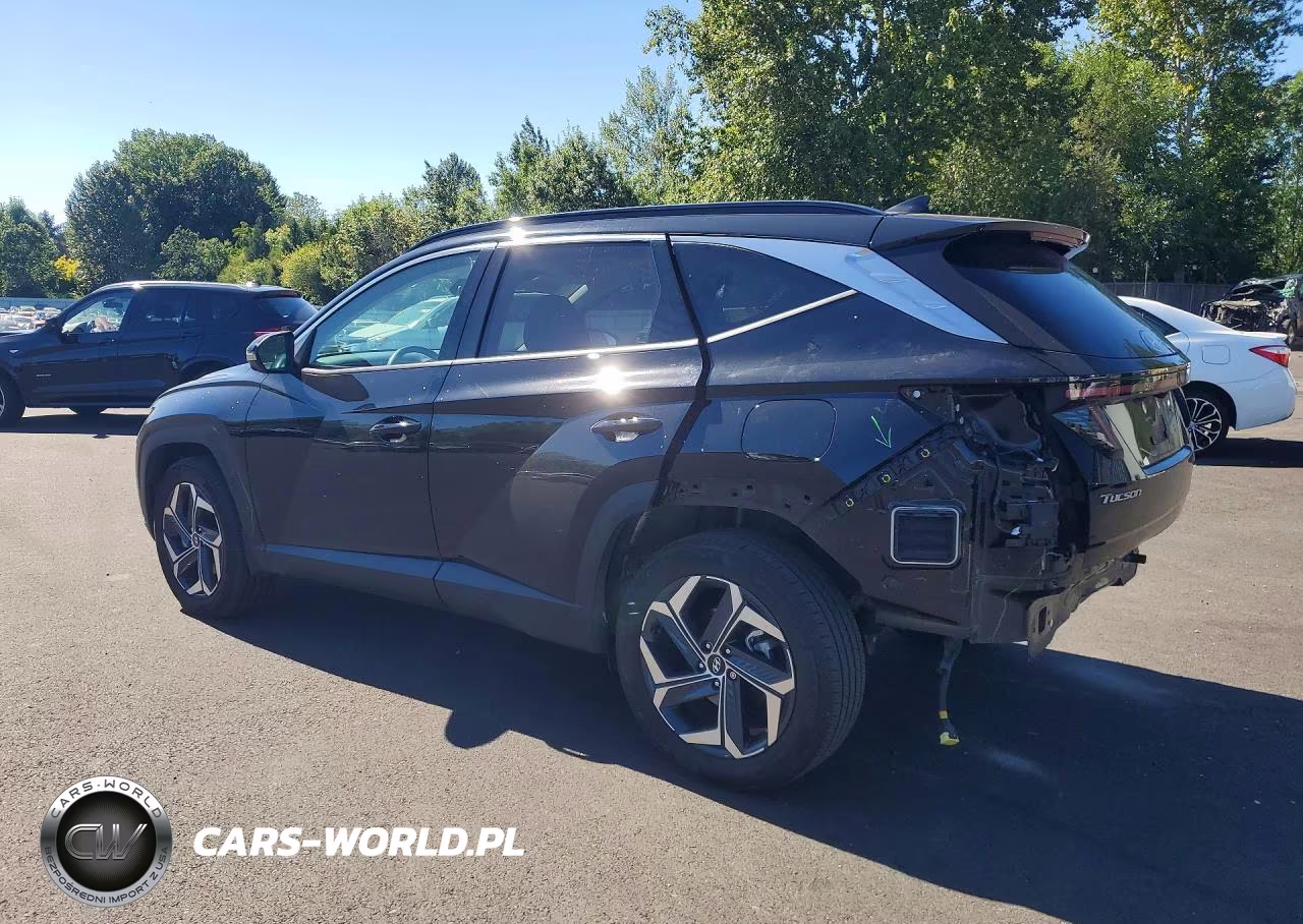 2024 Hyundai Tucson Limited VIN:KM8JFDD26RU182410 - 2