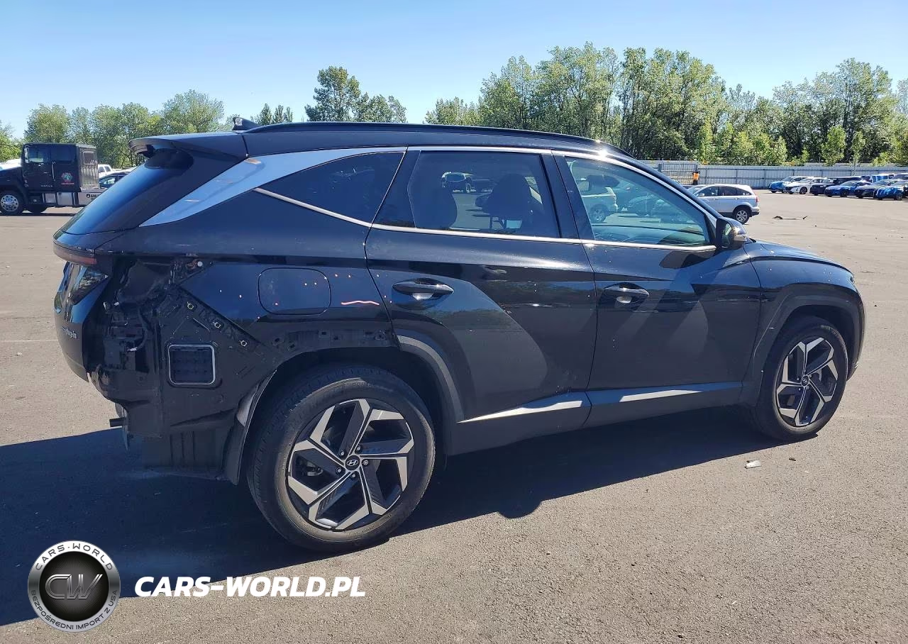 2024 Hyundai Tucson Limited VIN:KM8JFDD26RU182410 - 3