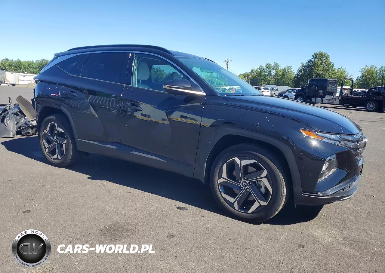 2024 Hyundai Tucson Limited VIN:KM8JFDD26RU182410 - 4