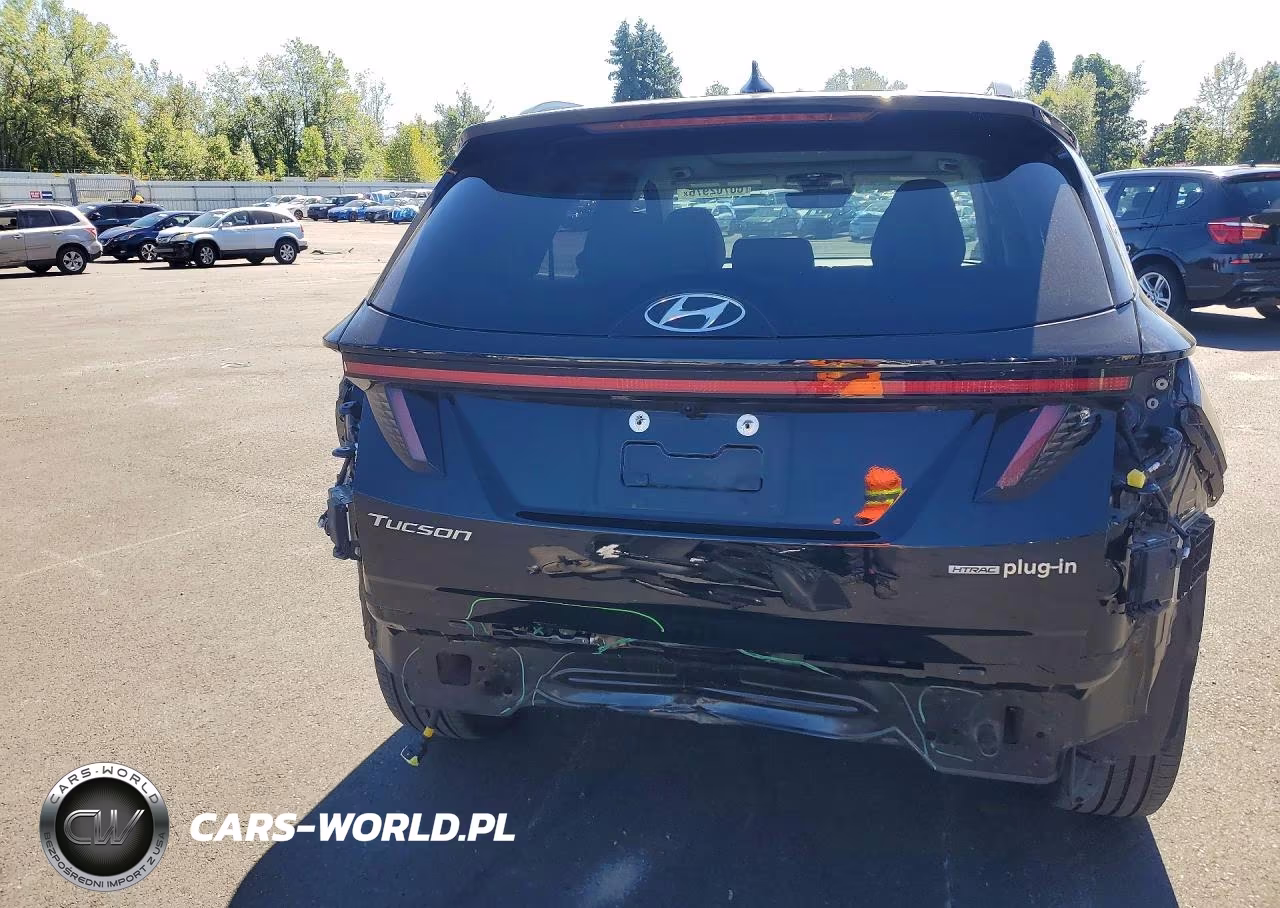 2024 Hyundai Tucson Limited VIN:KM8JFDD26RU182410 - 6