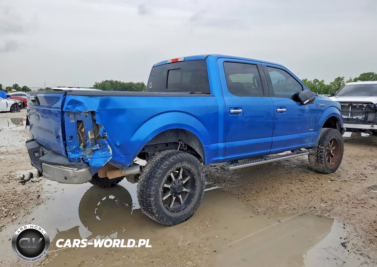 2015 Ford F150 Supercrew VIN:1FTEW1CP6FKF03368 - 3