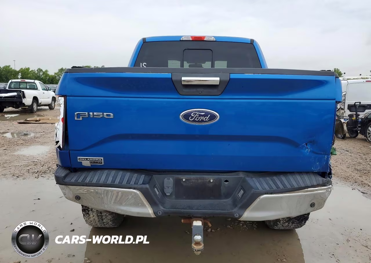 2015 Ford F150 Supercrew VIN:1FTEW1CP6FKF03368 - 6