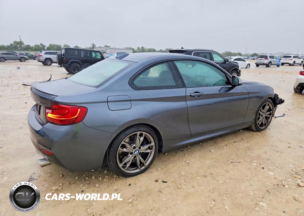 2015 BMW M235I VIN:WBA1J7C50FV254107 - 3