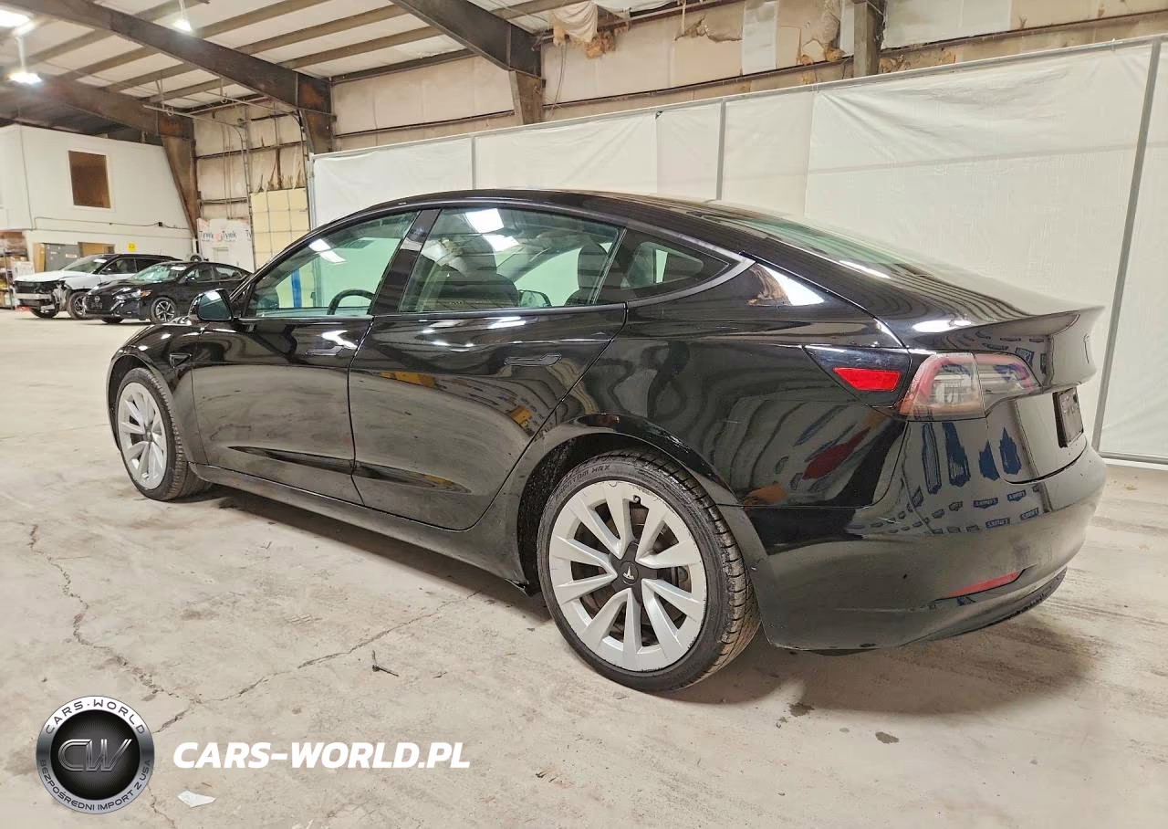 2023 Tesla Model 3 VIN:5YJ3E1EA6PF436482 - 2