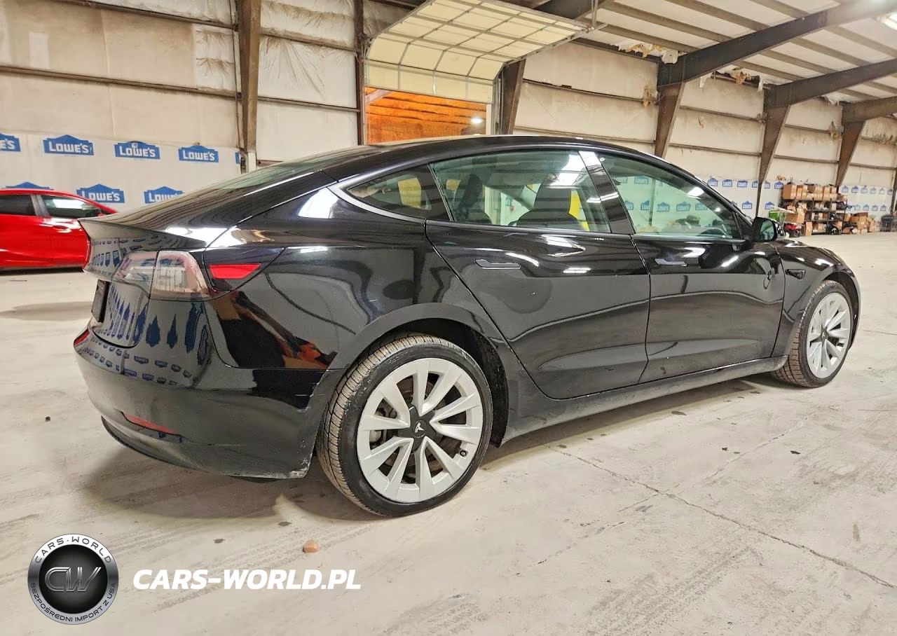 2023 Tesla Model 3 VIN:5YJ3E1EA6PF436482 - 3