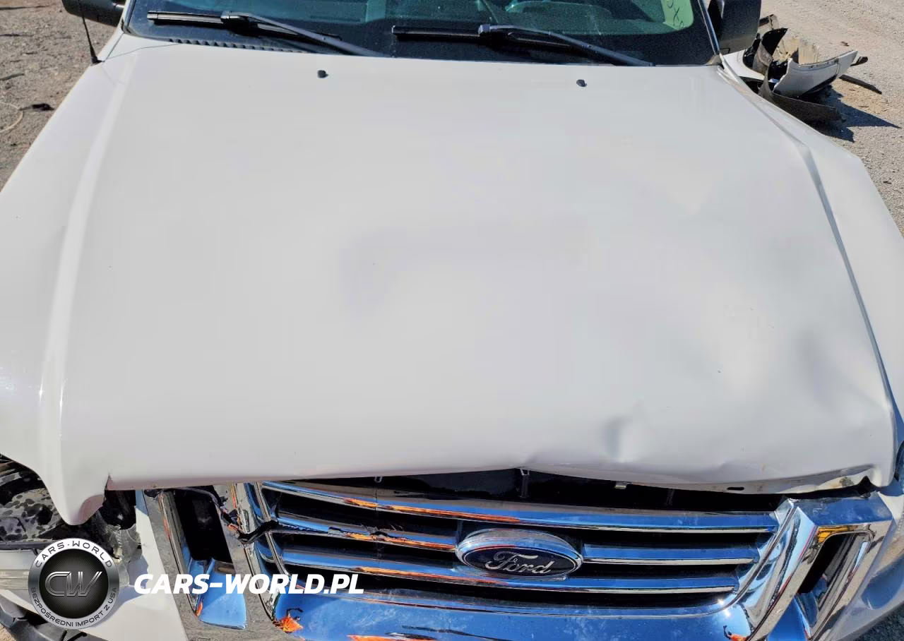 2009 Ford Explorer Eddie Bauer VIN:1FMEU31E99UA27284 - 11