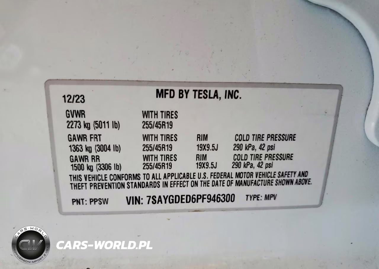 2023 Tesla Model Y VIN:7SAYGDED6PF946300 - 12