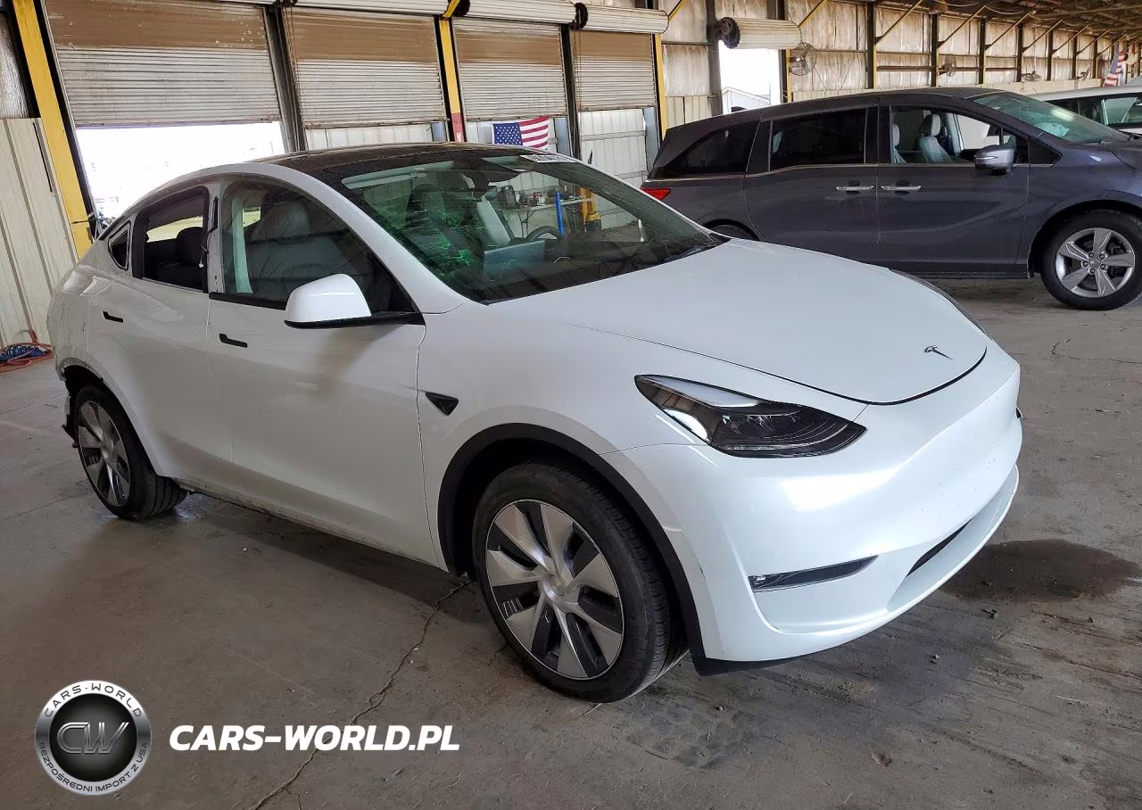 2023 Tesla Model Y VIN:7SAYGDED6PF946300 - 4