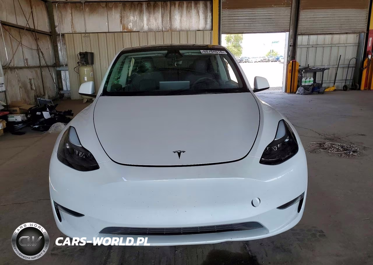 2023 Tesla Model Y VIN:7SAYGDED6PF946300 - 5