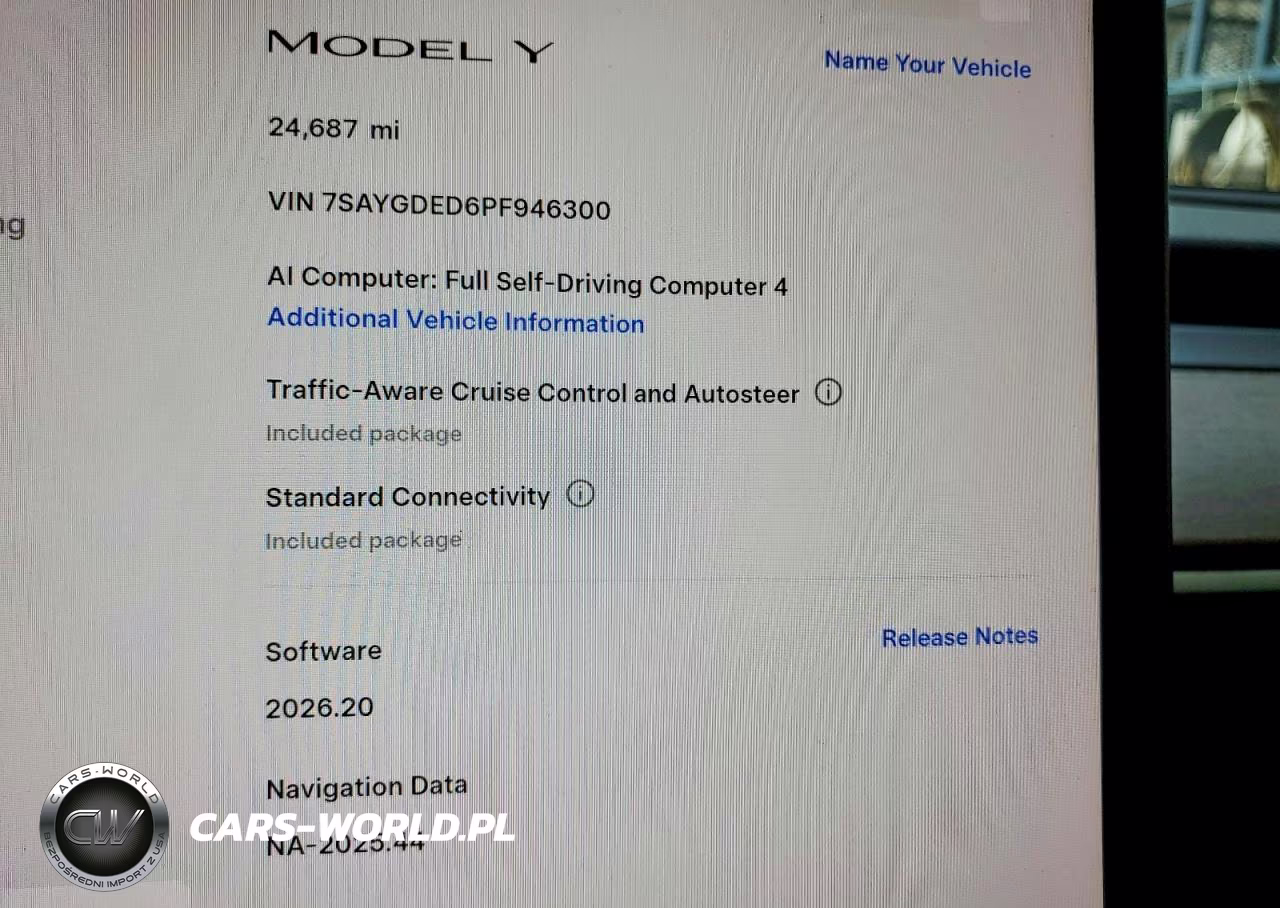 2023 Tesla Model Y VIN:7SAYGDED6PF946300 - 9