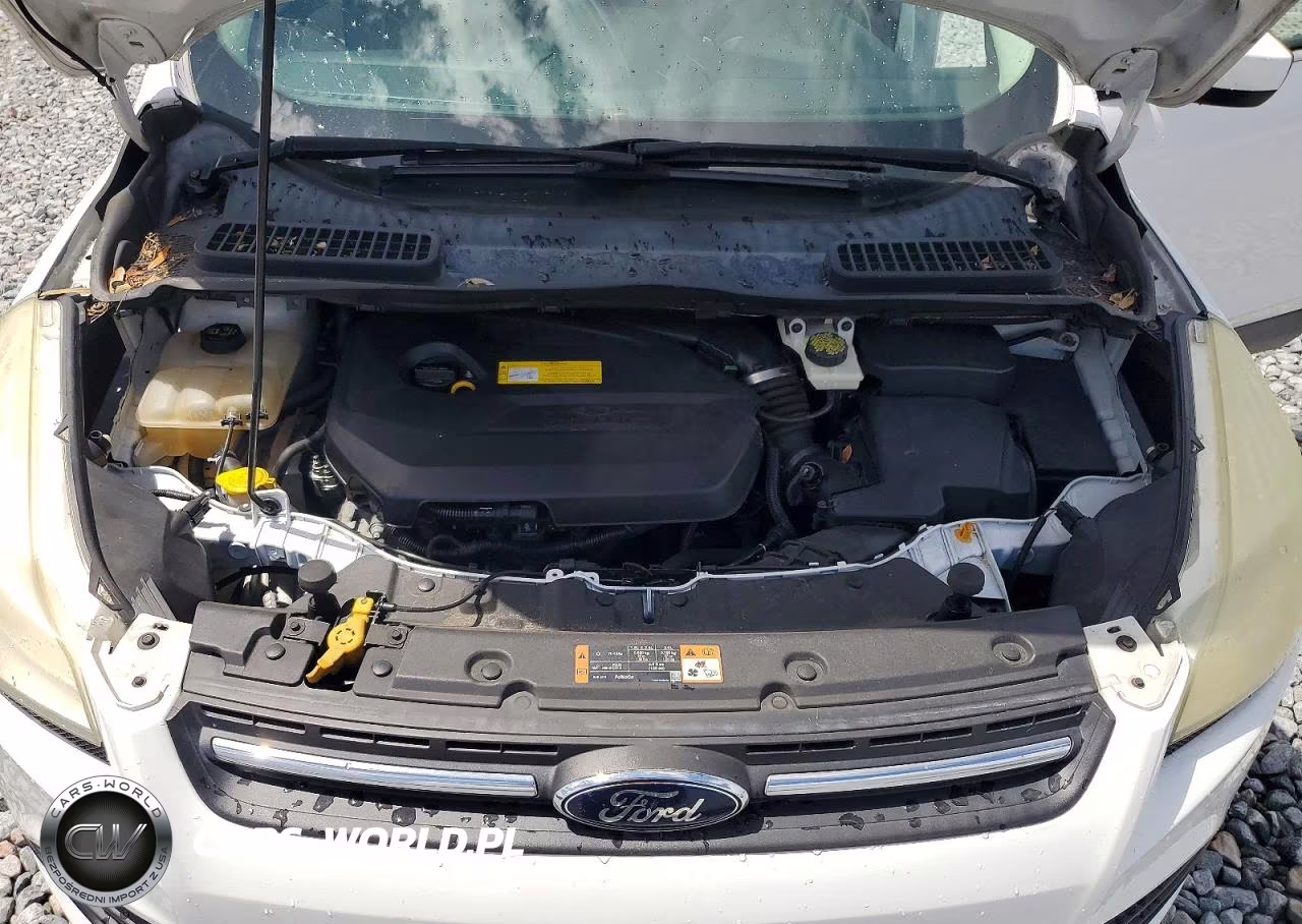 2016 Ford Escape Se VIN:1FMCU0GX4GUA32906 - 12
