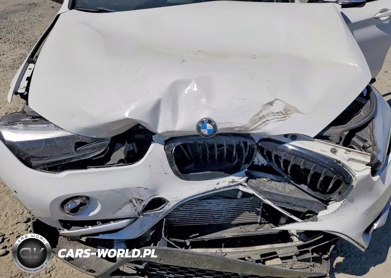 2017 BMW X1 Sdrive28I VIN:WBXHU7C3XH5H37779 - 11