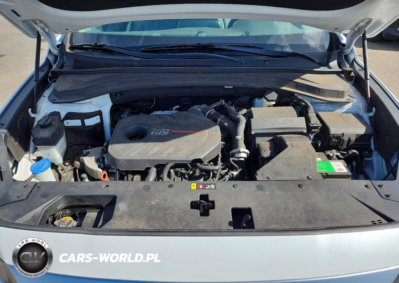 2019 Hyundai Santa Fe Limited 2.0T VIN:5NMS53AA3KH027067 - 12