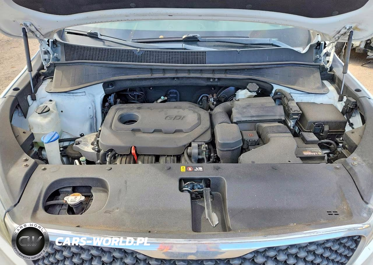 2017 Kia Sorento Lx VIN:5XYPG4A35HG286153 - 12
