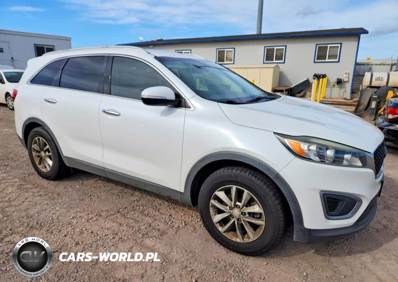 2017 Kia Sorento Lx VIN:5XYPG4A35HG286153 - 4