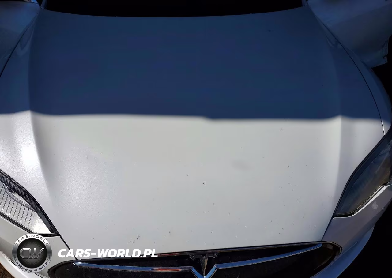 2016 Tesla Model S VIN:5YJSA1E2XGF124696 - 11
