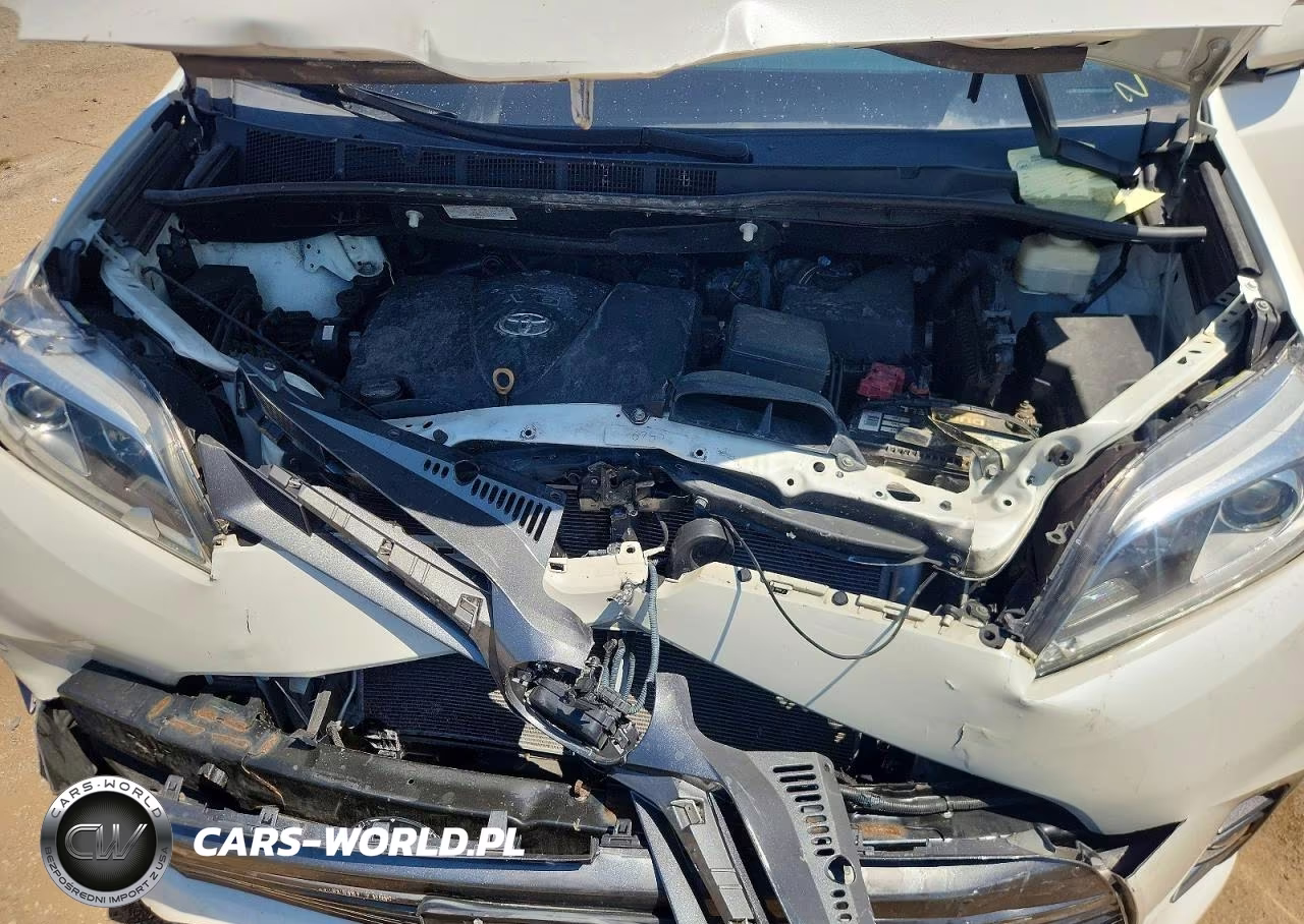 2019 Toyota Sienna Limited Premium 7-Passenger VIN:5TDDZ3DC0KS216475 - 12