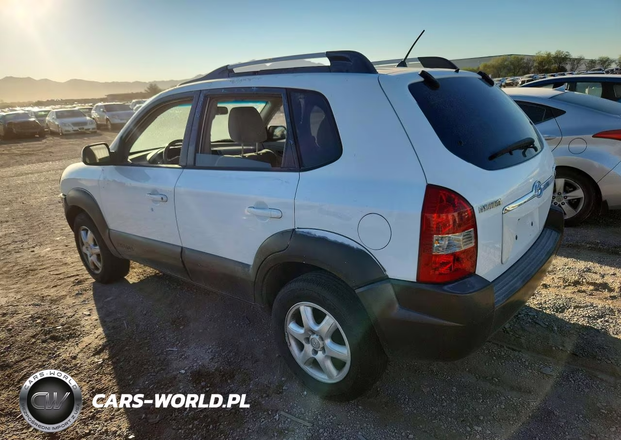 2005 Hyundai Tucson Gls VIN:KM8JN12D35U060295 - 2