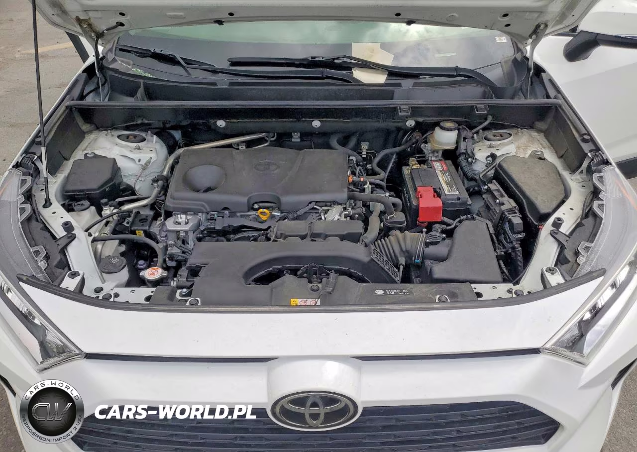 2019 Toyota Rav4 Xle Premium VIN:JTMA1RFV6KJ025197 - 12