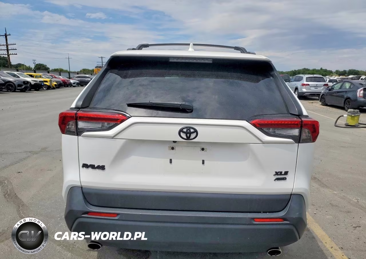 2019 Toyota Rav4 Xle Premium VIN:JTMA1RFV6KJ025197 - 6