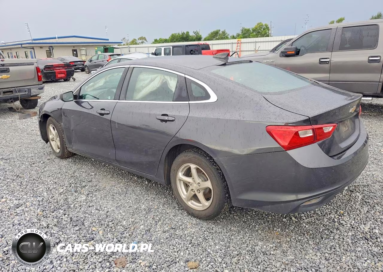 2017 Chevrolet Malibu VIN:1G1ZB5ST9HF118605 - 2