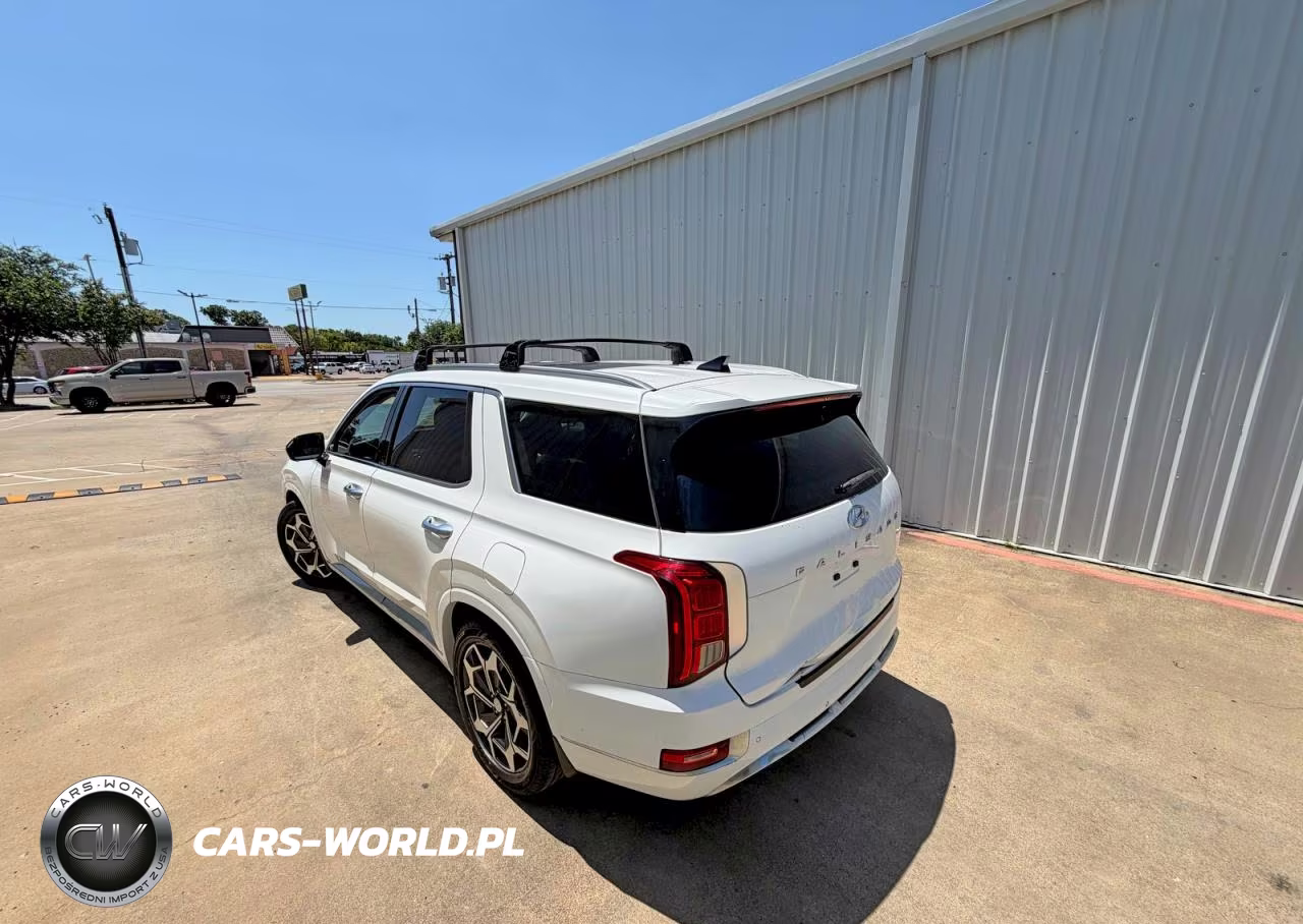 2021 Hyundai Palisade Calligraphy VIN:KM8R74HE8MU325029 - 3