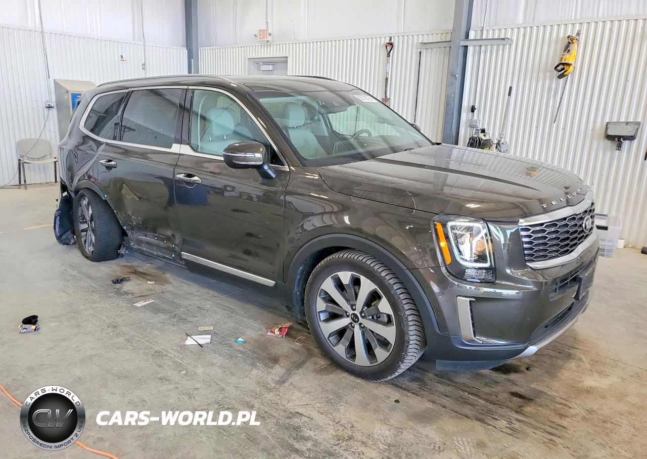 2020 Kia Telluride S VIN:5XYP6DHC3LG035889 - 4