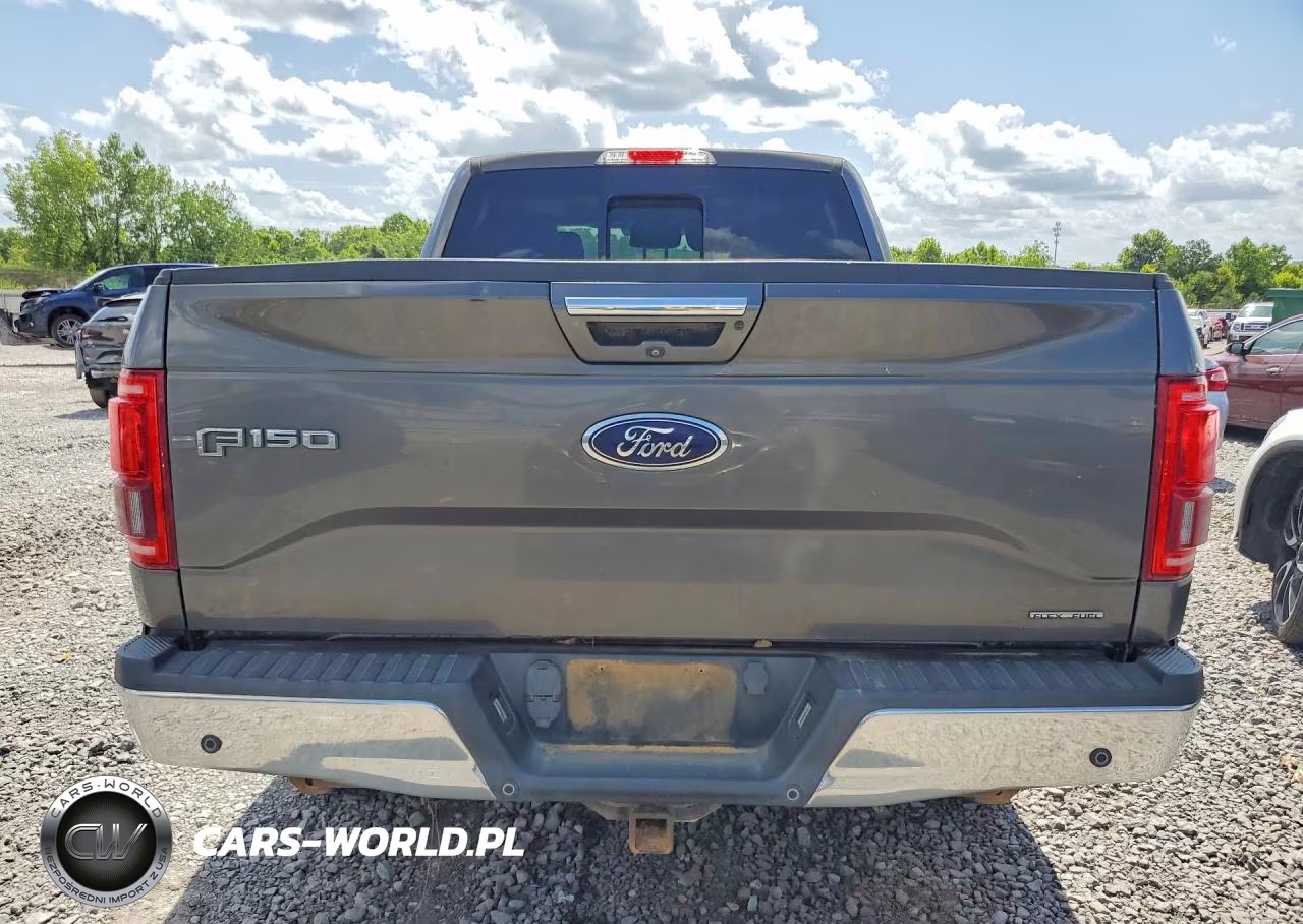 2016 Ford F150 Supercrew VIN:1FTFW1EF0GKE75660 - 6