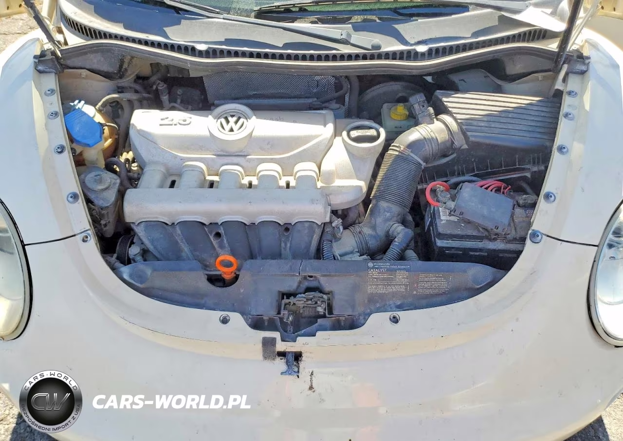 2008 Volkswagen New Beetle S VIN:3VWPW31C88M513980 - 11
