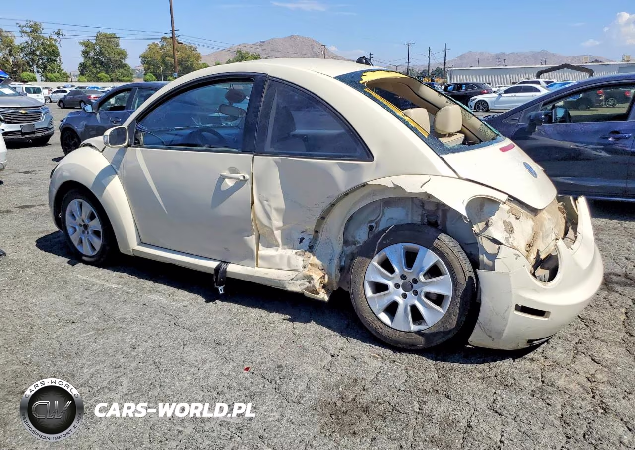 2008 Volkswagen New Beetle S VIN:3VWPW31C88M513980 - 2