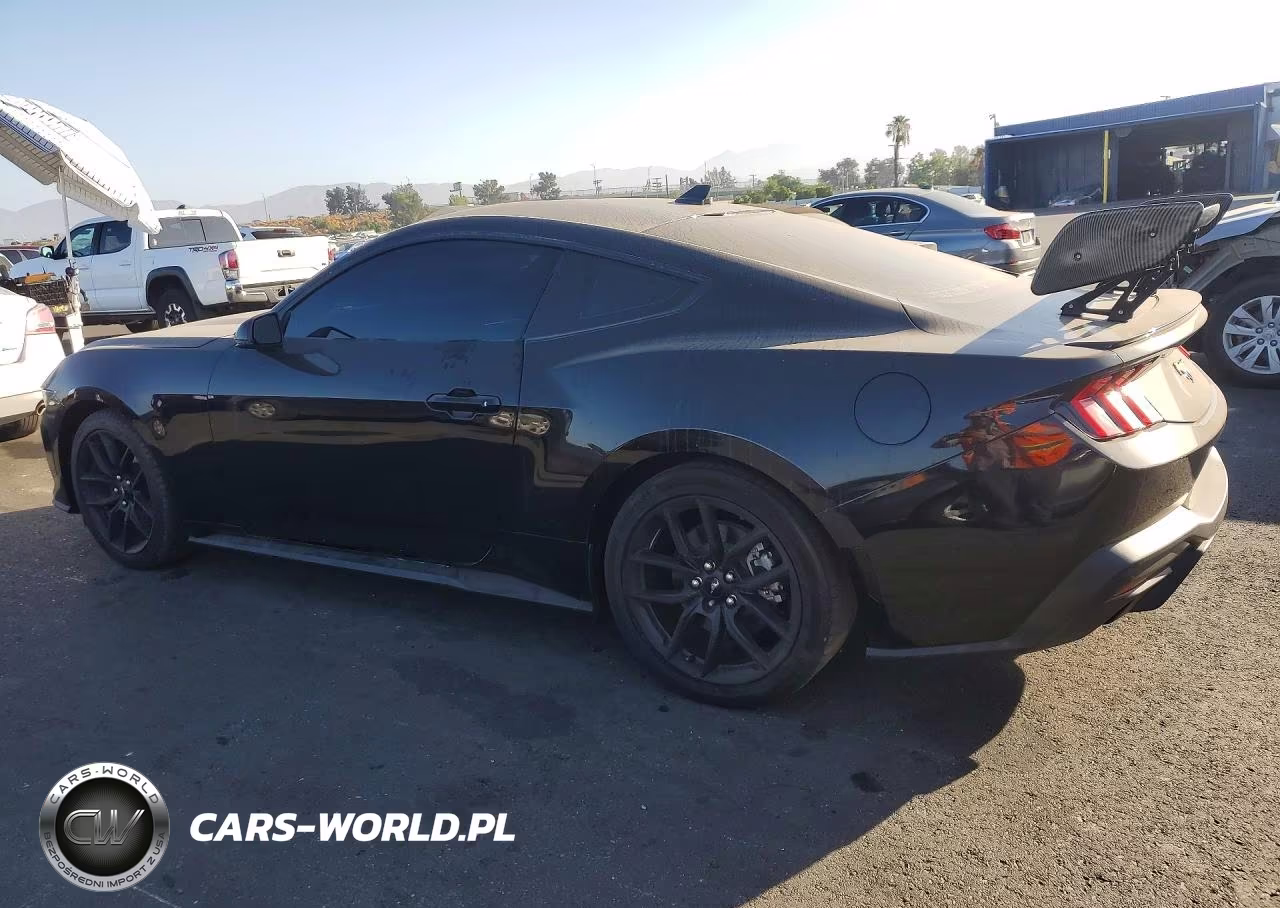 2024 Ford Mustang VIN:1FA6P8TH4R5137924 - 2