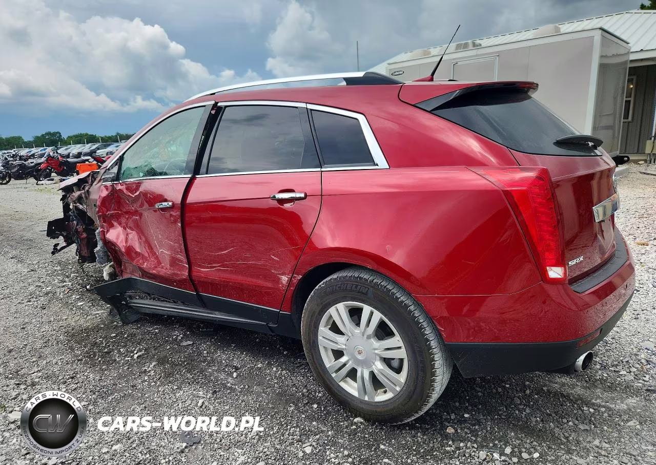 2010 Cadillac Srx Luxury Collection VIN:3GYFNAEY4AS648607 - 2