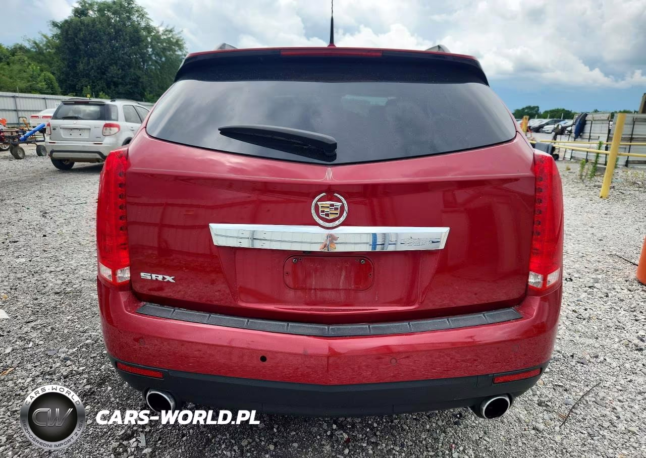 2010 Cadillac Srx Luxury Collection VIN:3GYFNAEY4AS648607 - 6